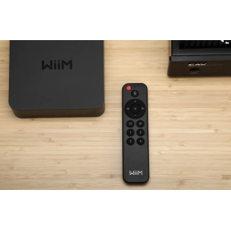 	Amplis stéréo hifi - WIIM - WIIM REMOTE