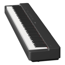 	Pianos numériques portables - Yamaha - P-223B