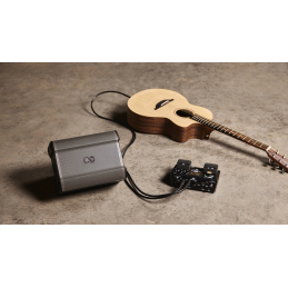 	Sonos portables sur batteries - Alto Professionnal - BUSKER EDITION ED SHEERAN