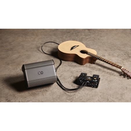 Sonos portables sur batteries - Alto Professionnal - BUSKER EDITION ED SHEERAN