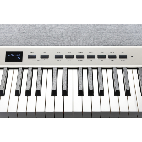 Pianos numériques portables - Kurzweil - KA-P1 WH