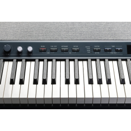 	Pianos numériques portables - Kurzweil - KA-P1 LB