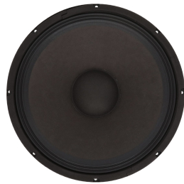 Hauts parleurs basse fréquence - Definitive Audio - WOOFER PANDA 15A BT