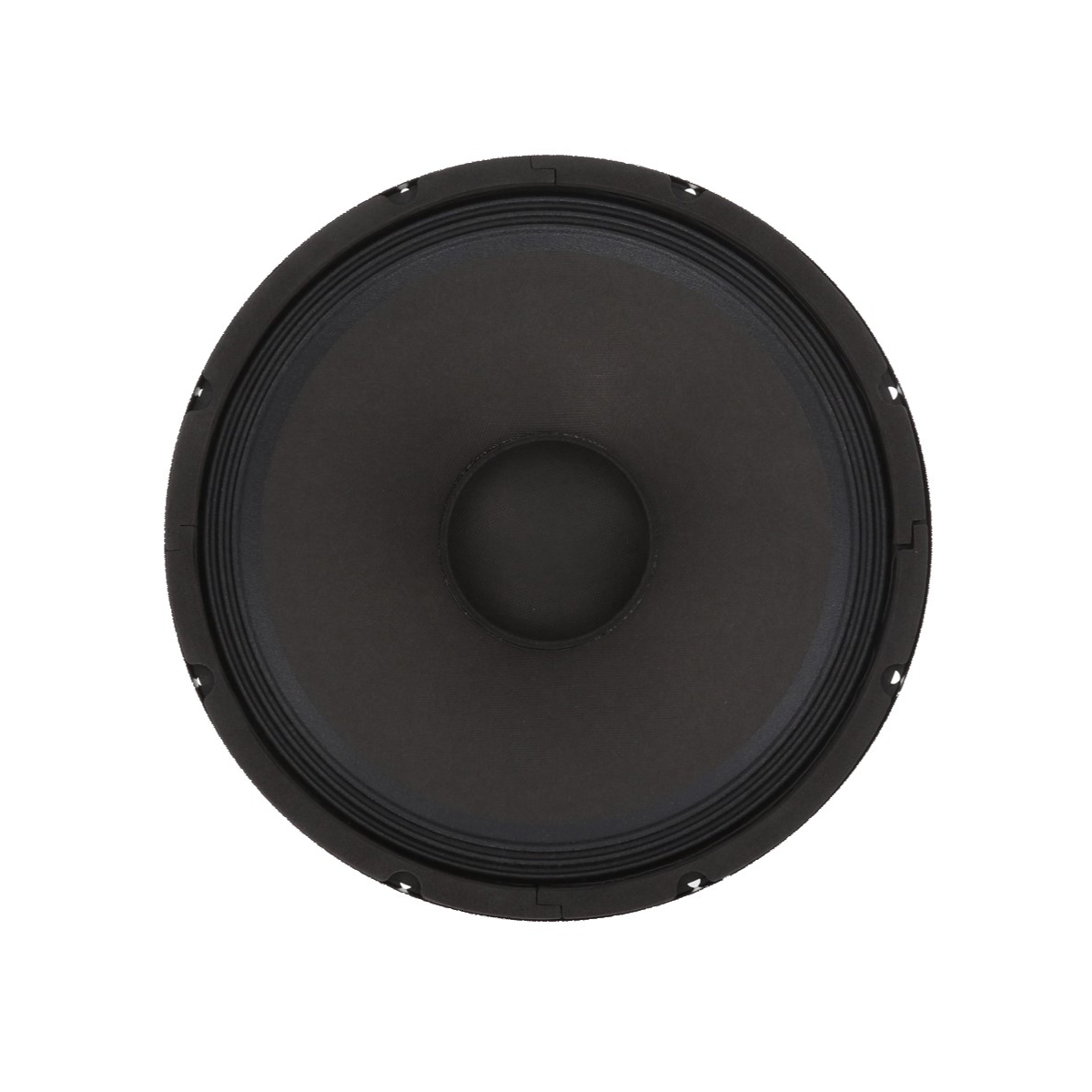 Hauts parleurs basse fréquence - Definitive Audio - WOOFER PANDA 12A BT