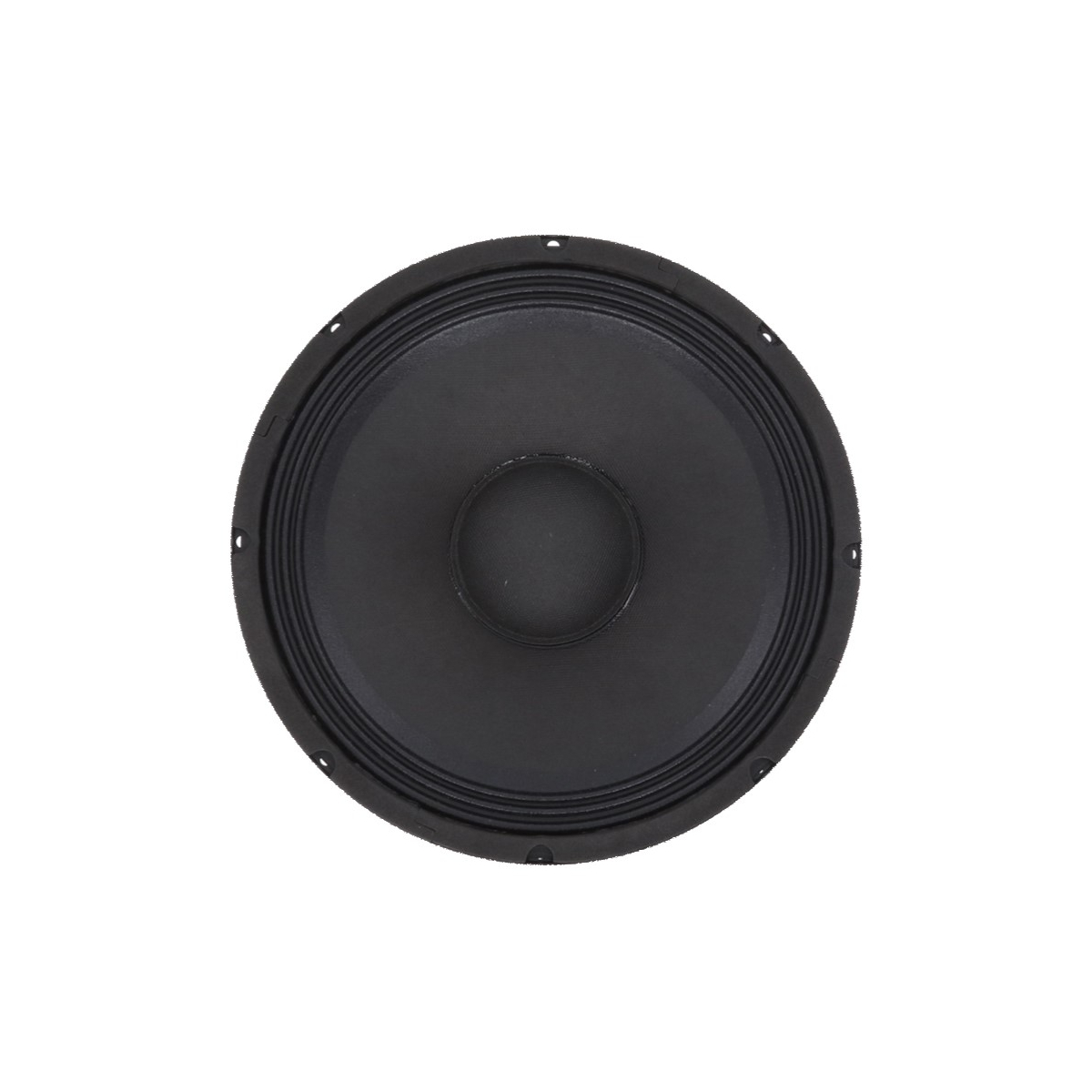 Hauts parleurs basse fréquence - Definitive Audio - WOOFER PANDA 10A BT